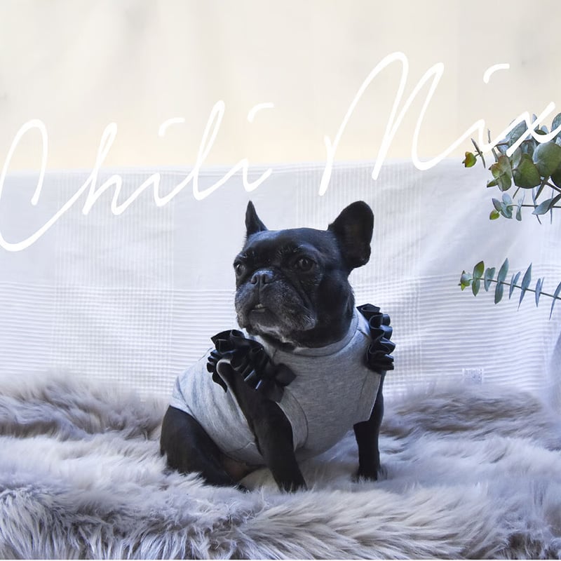 甘辛女子！ レザーフリル付きタンク | フレンチブルドッグと中型犬の犬