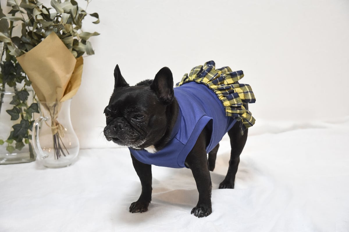 正規品♡フレンチブルドッグプルオーバー＆チェックロングパンツ♡ネイビー 正規品♡フレンチブルドッグプルオーバー＆チェックロングパンツ