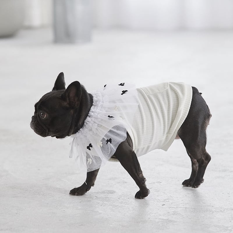ViViVi］ラッフル付け襟（リボン） | フレンチブルドッグと中型犬の犬