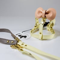 ［BDOG］キャンディリボンハーネス＆リード／小型犬用脇下サイズ35cm