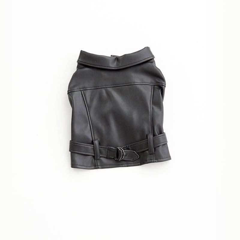 超クール！ライダースジャケット（長袖） | フレンチブルドッグと中型