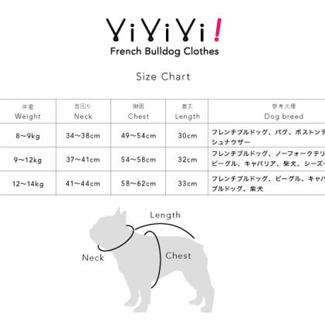 上質お仕立て感！サイロプレミアムボーダー　袖フリルタンク