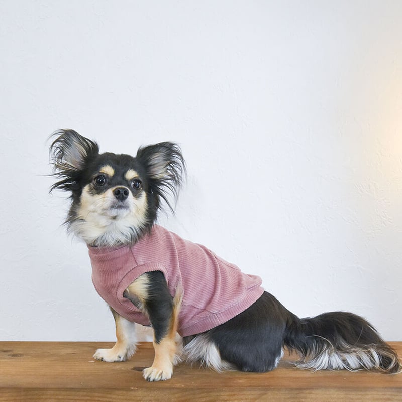 ハンドメイド　ジャンパースカート　小型犬　コーデュロイ 244318] ジャンパースカート | 犬服ブランド 2e deuxieme cale