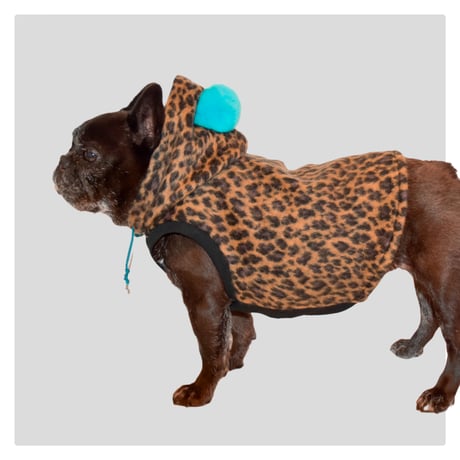 bulldog | STORES