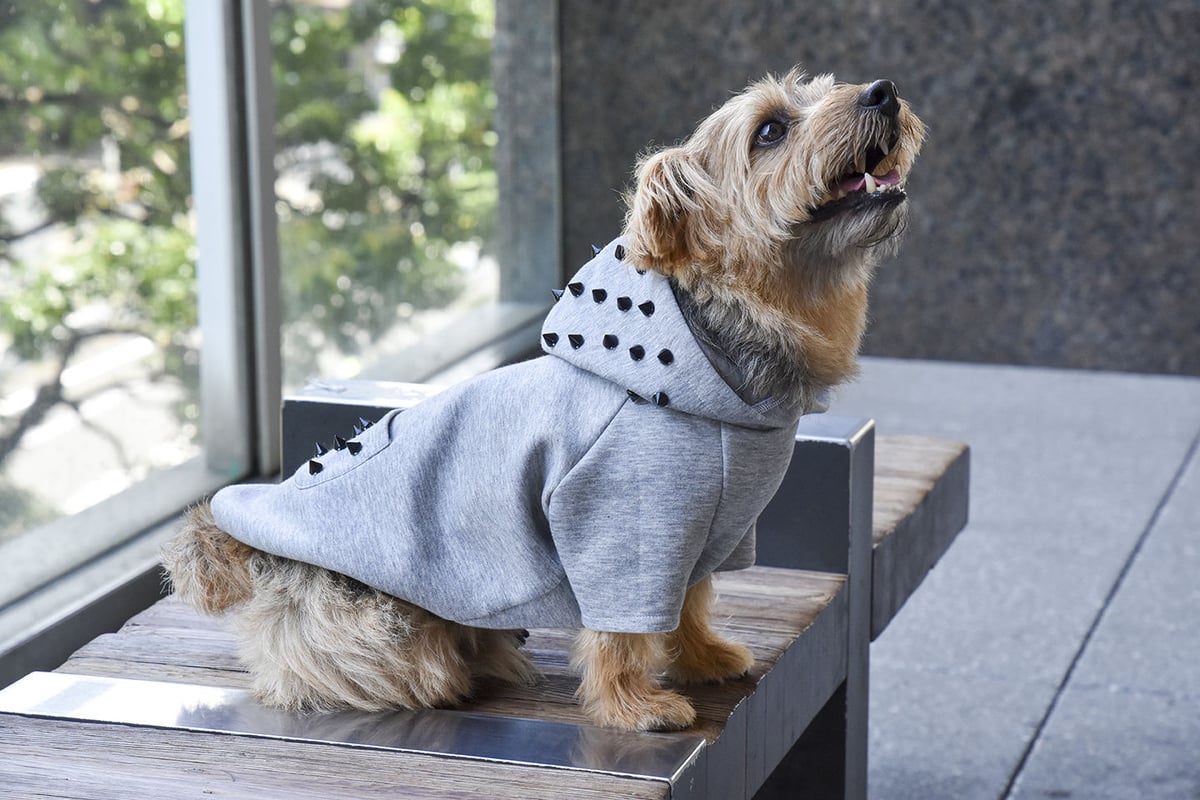 No.32 ハンドメイド犬服 ハイネックパーカーワンピース 12311141_568495ec0fda0.jpg