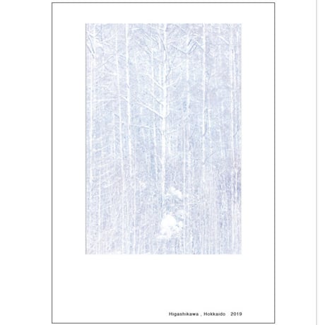 HOKKAIDO LANDSCAPES 《POST CARD SET》 Kentauros Yasunaga