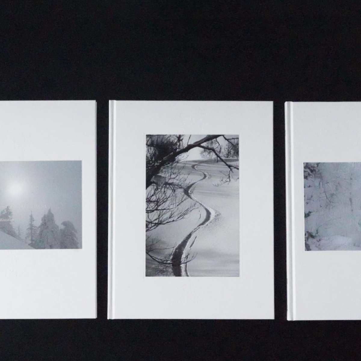 渡辺洋一 雪森 Essence of the Winter Forest 写真集 The Essence of the Winter Forest (A) - 渡辺洋一 | shashasha