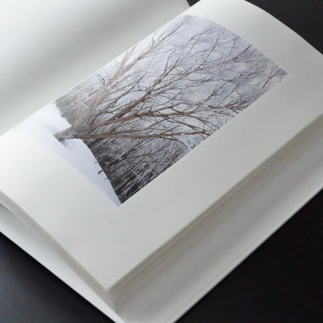 雪 The Essence of Winter Forest 森  - Yoichi Watanabe (サイン入り)