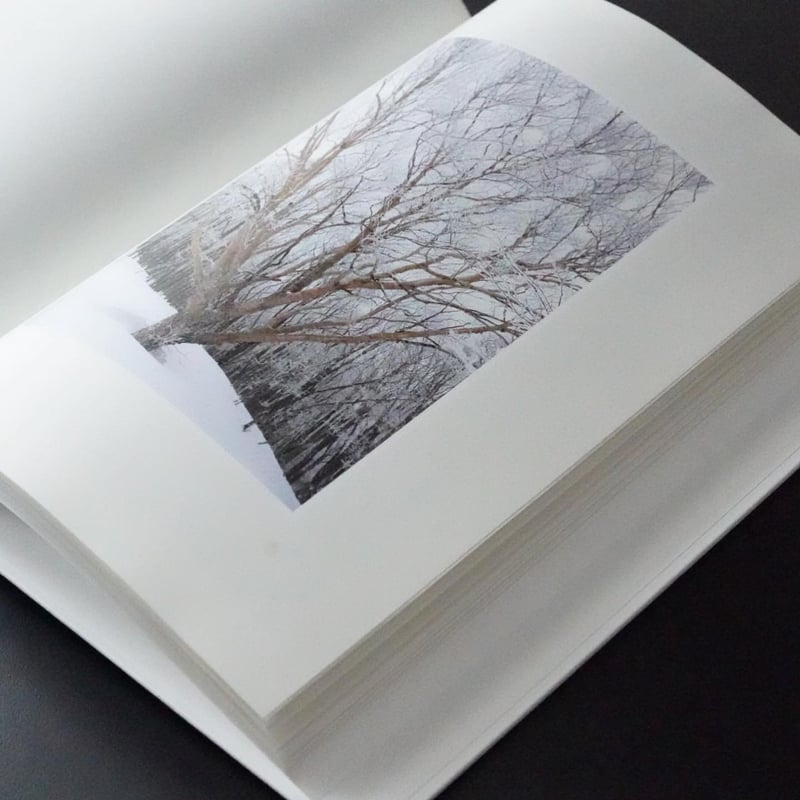 渡辺洋一 Essence of the Winter Forest 写真集 雪 The Essence of the Winter Forest 森 | 美術・芸術書、写真
