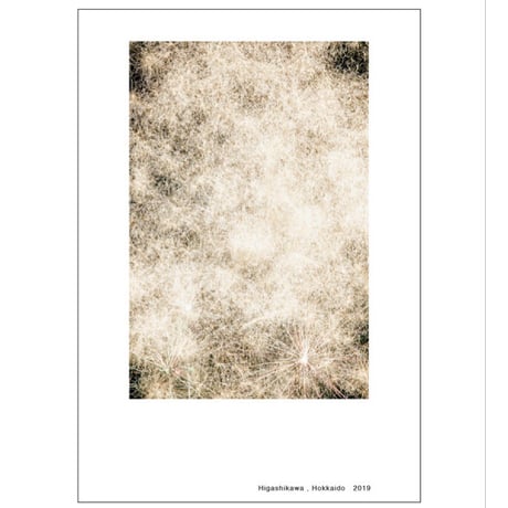 HOKKAIDO LANDSCAPES 《POST CARD SET》 Kentauros Yasunaga