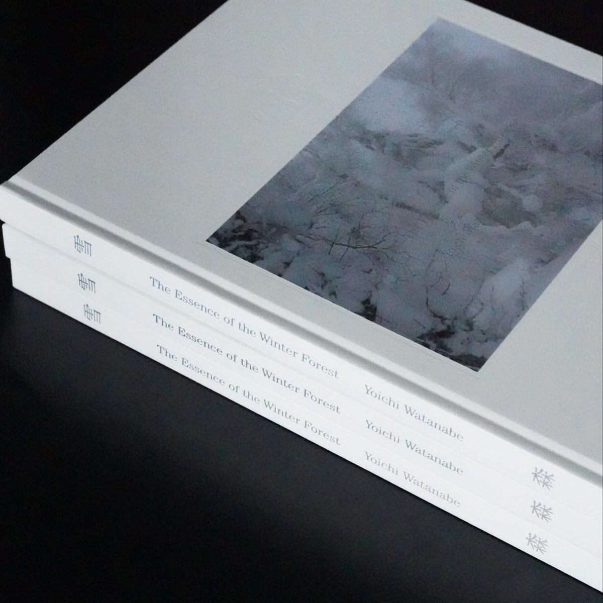 雪 The Essence of Winter Forest 森 - Yoichi Wata