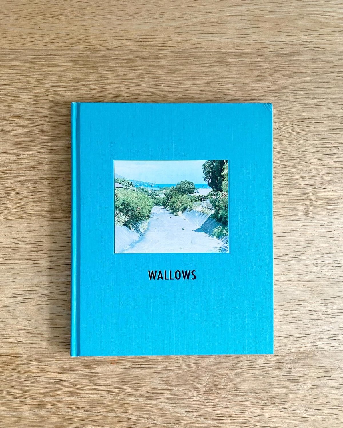 WALLOWS Taro Hirano 写真集　pool 平野太呂 WALLOWS Taro Hirano 写真集 pool 平野太呂 - メルカリ