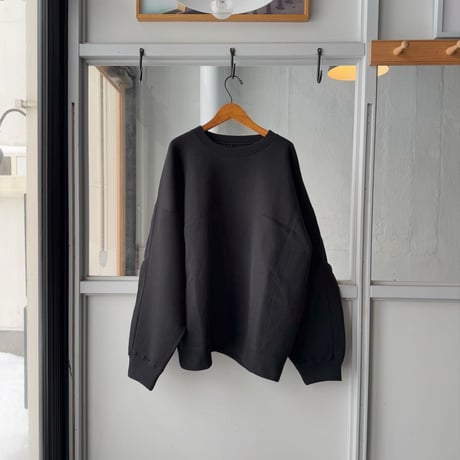 ssstein　  COTTON DOUBLE KNIT TUCKED CREW NECK LS