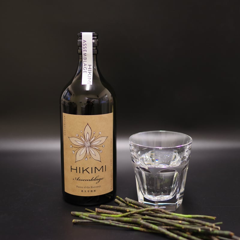 美形。山採りクロモジ2.6M(鉢底から)品番D 美形。山採りクロモジ2.6M(鉢底から)品番D