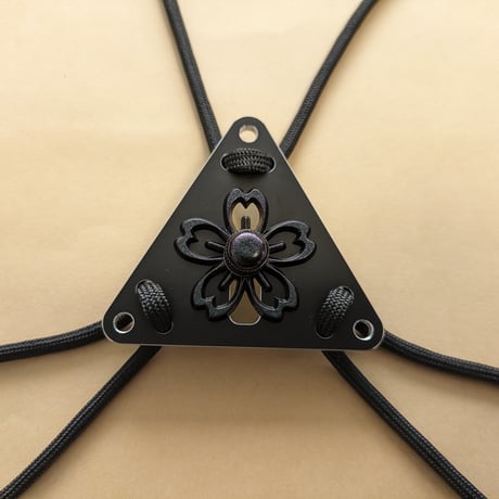 PARA RAIL DELTA
