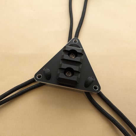 PARA RAIL DELTA