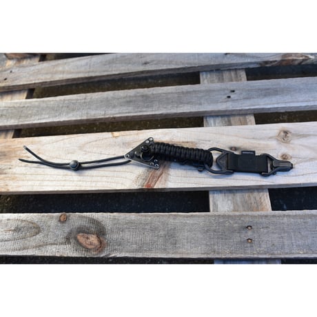 PARA RAIL DELTA
