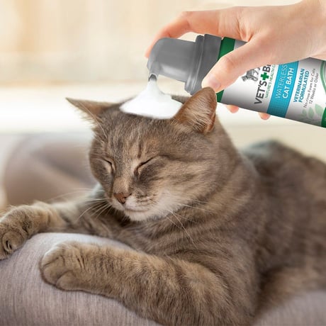 ベッツベスト ドライシャンプー 猫用 118ml