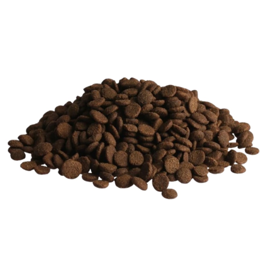 6a0cf5e65b90ec22579e8c25