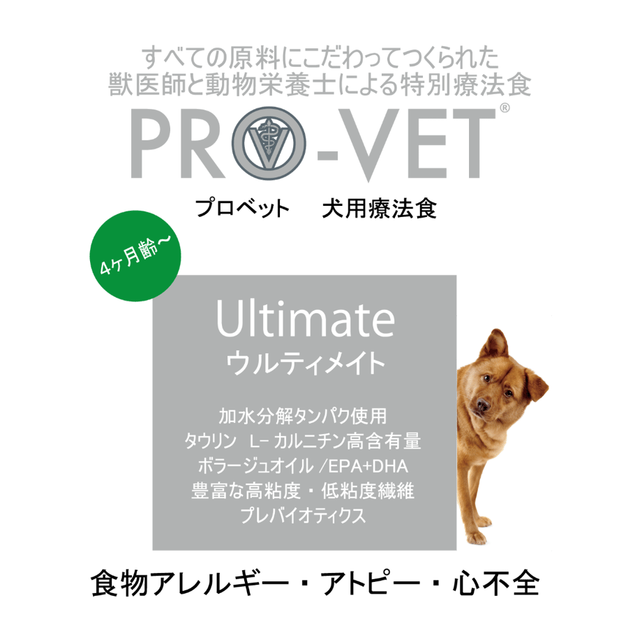 5f7ef7a107e16307010f44fb