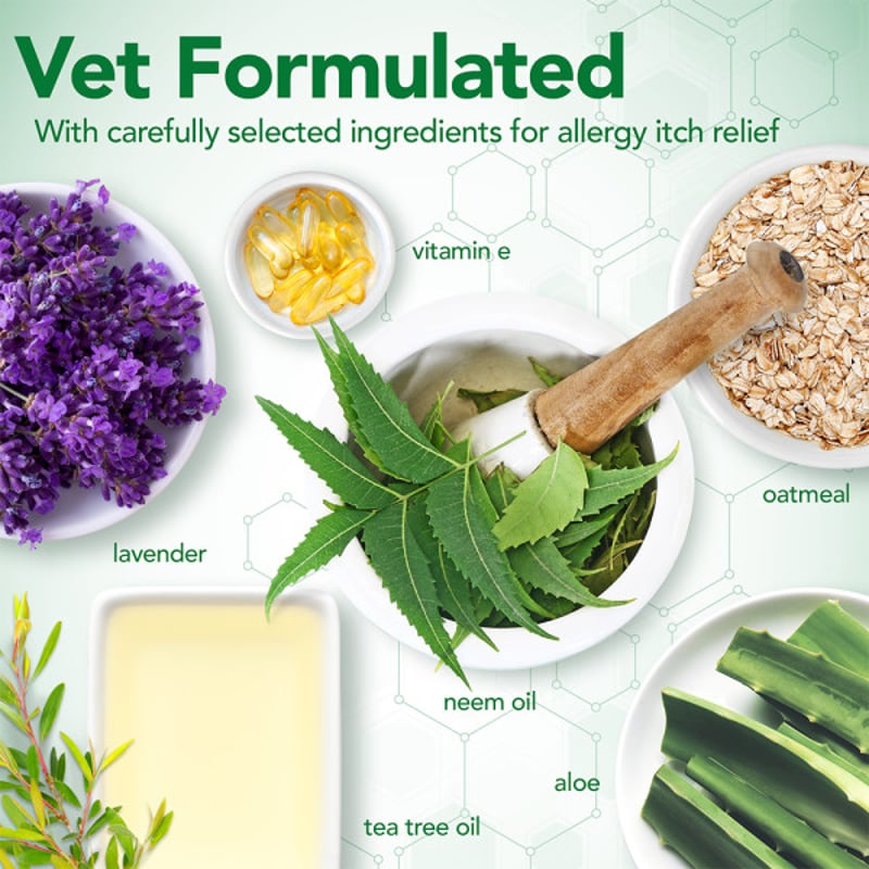 ベッツベスト アレルギー用シャンプー アレジーイーチリリーフ