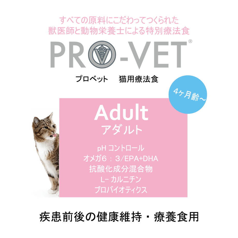 5e652c7568c4621c10534608