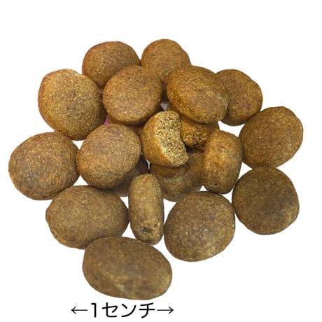 【2027.07.23期限】ケンネルズフェイバリット　ラム＆ライス　3ｋｇ