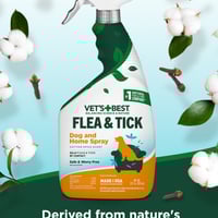 クーポン利用不可 液体サプリメント Young at Heart『心臓』59ml