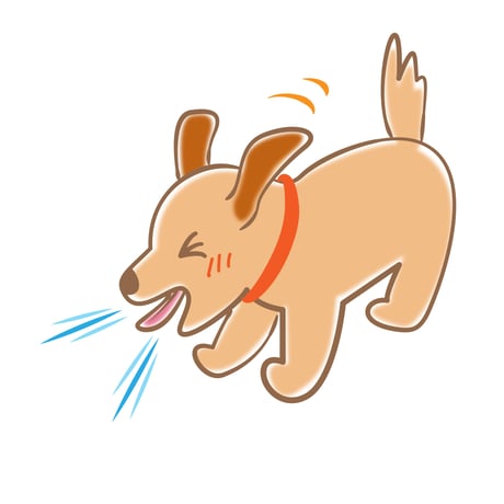 【2026.12.05期限】ベッツベスト　シーズンアレルギー　30チュウ　愛犬の季節性のアレルギーをサポート