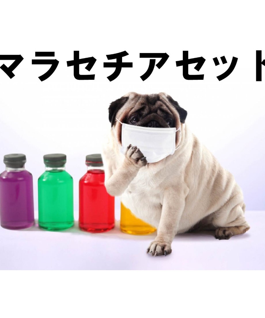 62c53a82d1912324ec6f4f5c