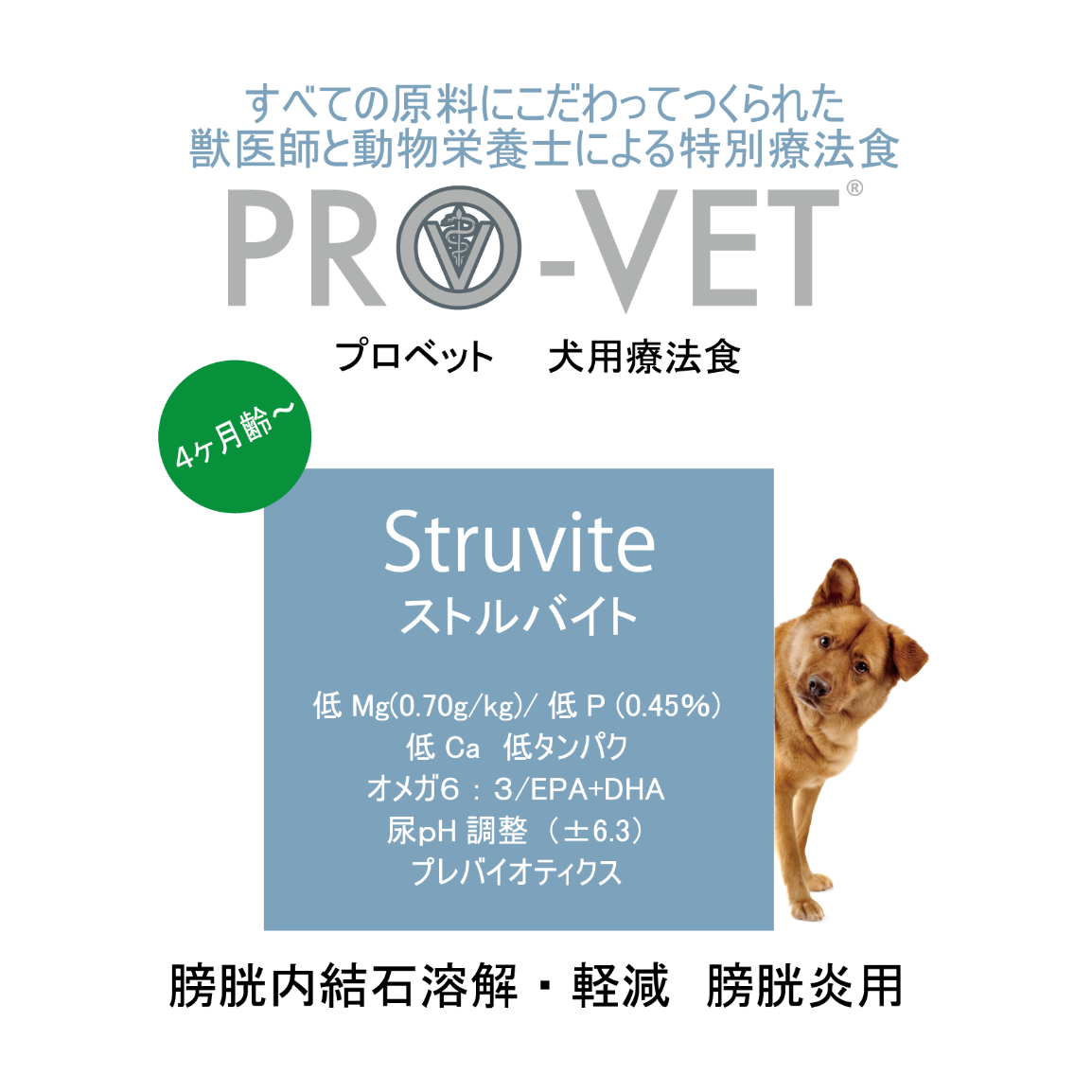 プロベット 犬 ストルバイト（尿石） 2.5kg/1kg/500g | ヴァイシュラ