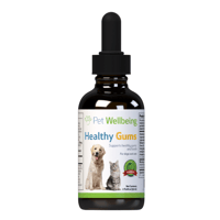 クーポン利用不可　液体サプリメント Healthy Gums『口腔』59ml
