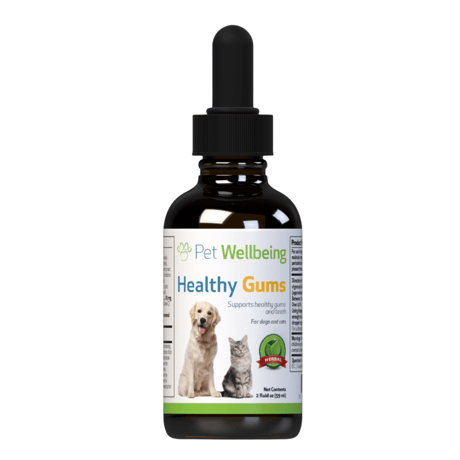 クーポン利用不可　液体サプリメント Healthy Gums『口腔』59ml