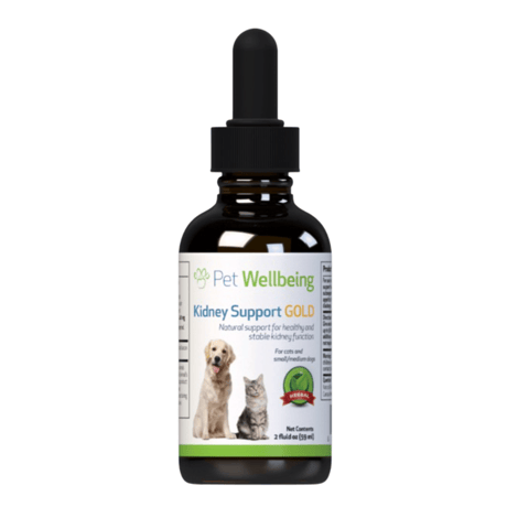 クーポン利用不可　液体サプリメント Kidney Support GOLD 『腎臓』59ml