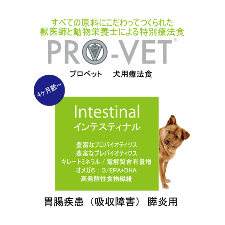 【2025年05月08日期限】お試しサイズ50ｇ×2個入りからあります！プロベット犬　インテスティナル（胃腸）急な下痢や続く胃腸炎に。