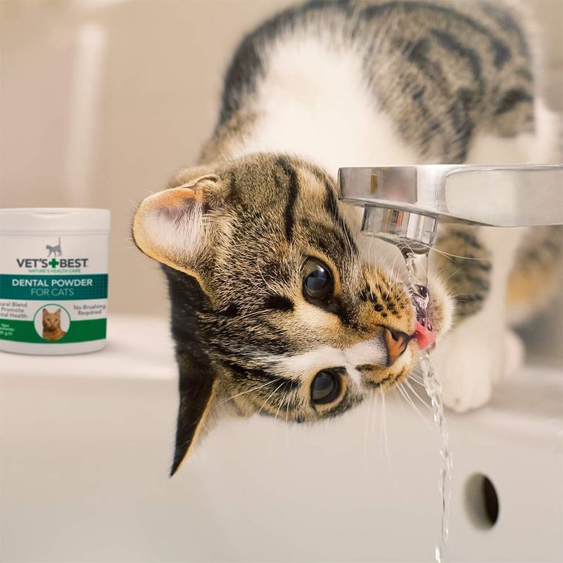 ベッツベスト デンタルパウダー for CATS 45g 【2030.01期限