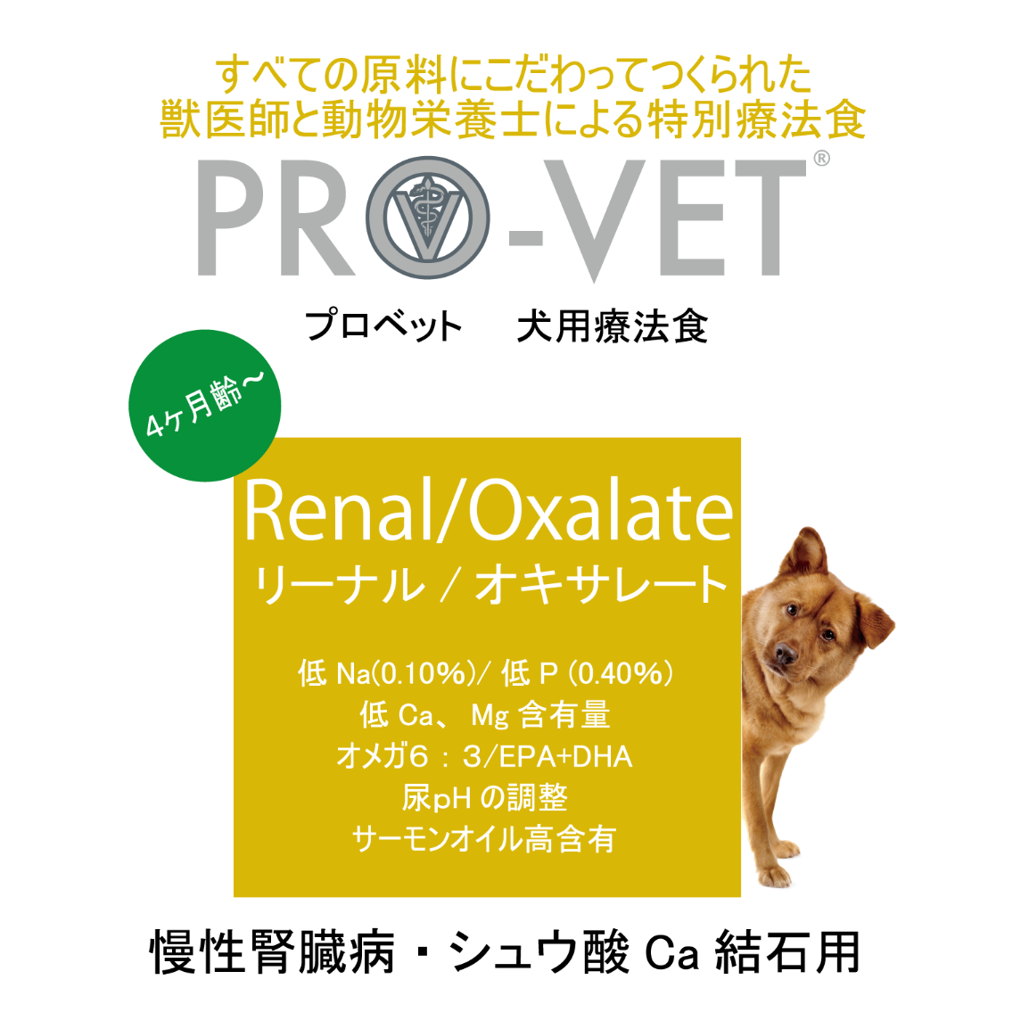 プロベット 犬 リーナル/オキサレート（腎臓） 愛犬のシュウ酸
