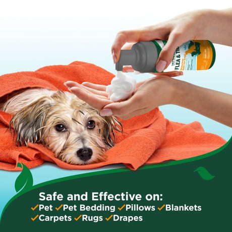 ベッツベスト　犬用フレアチックフォームバス（洗い流し不要のドライシャンプー）235ｍｌ　※置き配不可品※