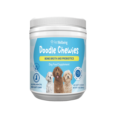 CATEGORY DOG | ヴァイシュラショップ vaisra LLC.