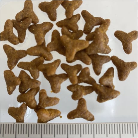 【2027.02.24期限】名前の通り、皮膚被毛がつややかに　体もリッチに　KISKIS エキストラリッチ 500g