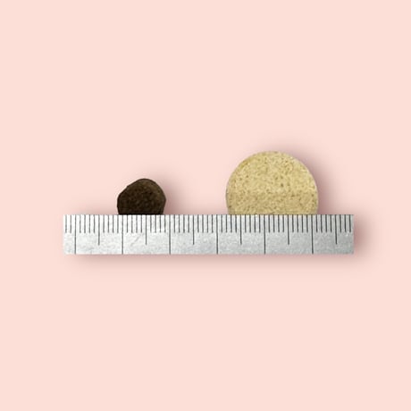 【2027.07.21期限】ケンネルズフェイバリット　ジュニア　ラム＆ライス　3kg　フレブルちゃんのブリーダーさんもお気に入り！！なかの寄生虫を駆虫するフード！（サーモンは別ページ）