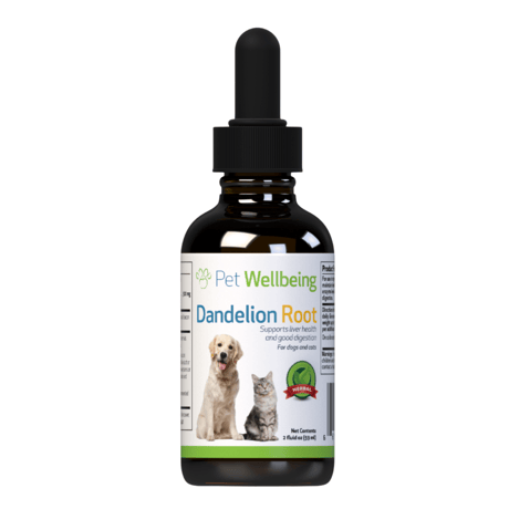 クーポン利用不可　液体サプリメント Dandelion Root『膵臓』59ml