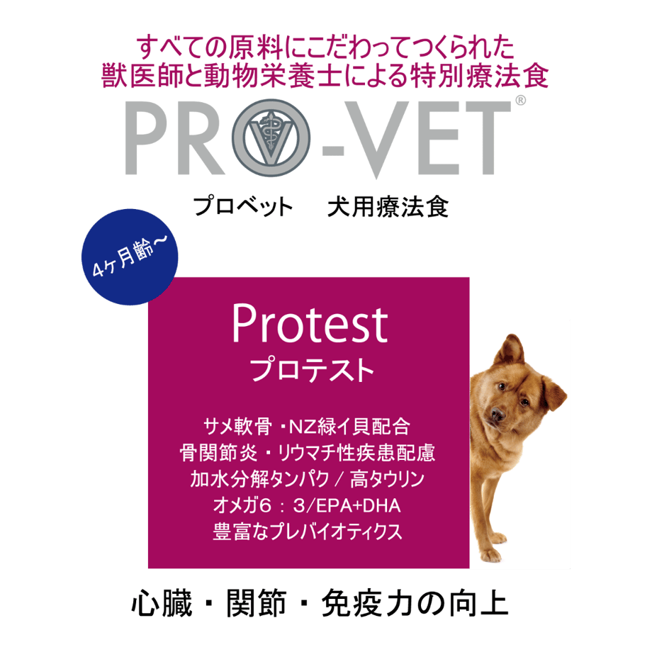 5f7efd2d07e16306e00f4572