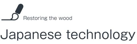 Japanese technology