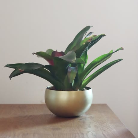 まあるいお椀型の真鍮花器