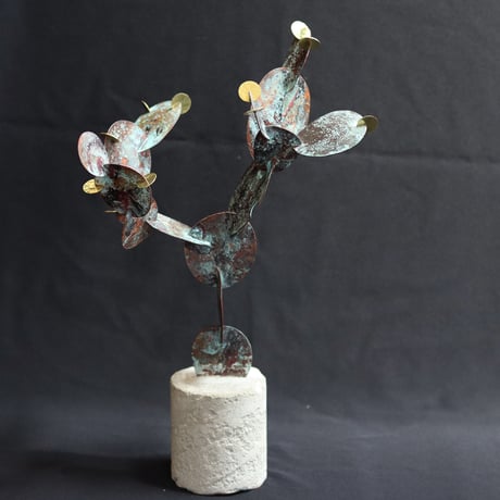 【 Metallum cactus 】