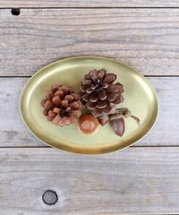 fit=cover,w=200,h=240