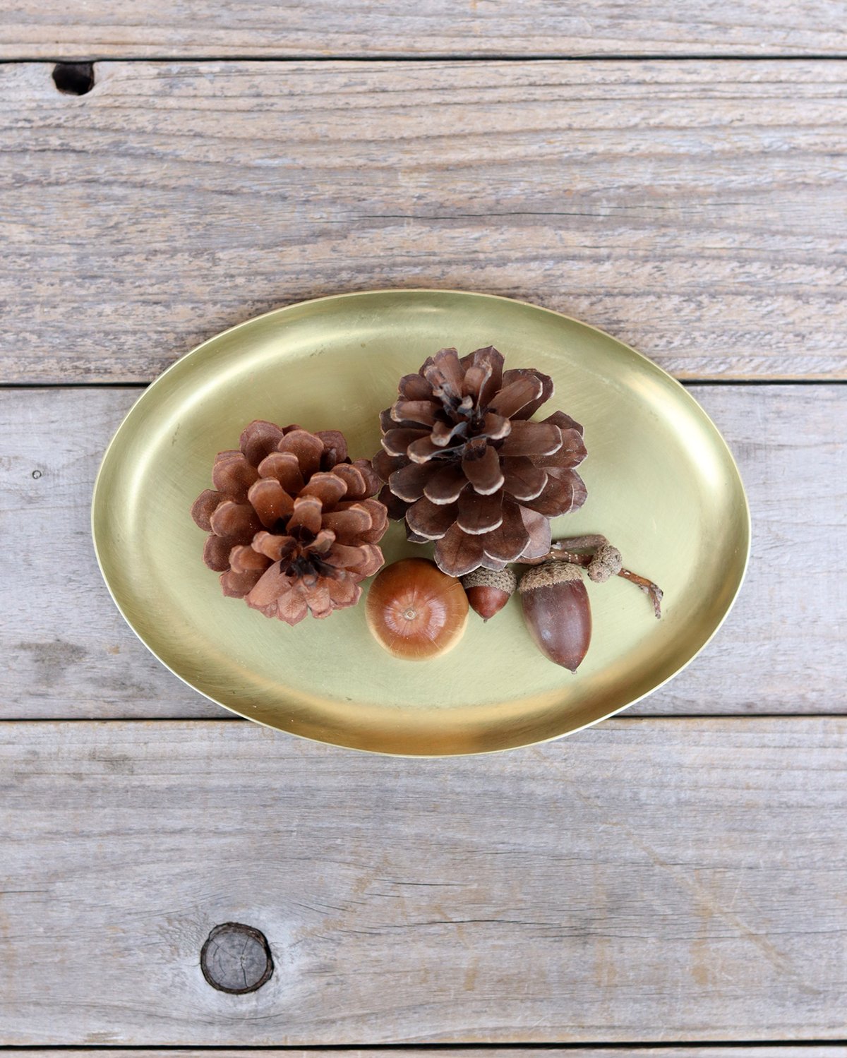 真鍮製オーバル型和楽器 オーバル(L/Y)｜和食器通販｜織部 Online Store【公式】