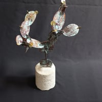 【 Metallum cactus 】