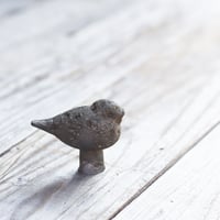 [　スズノコトリ　]